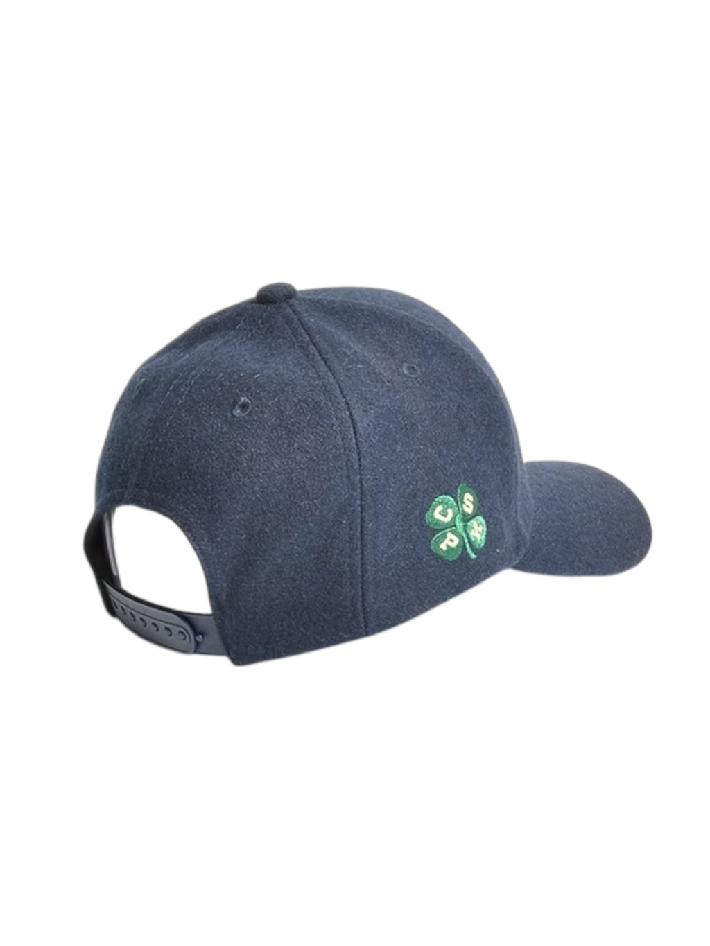 Baseball Cap Irish Chespaeaks